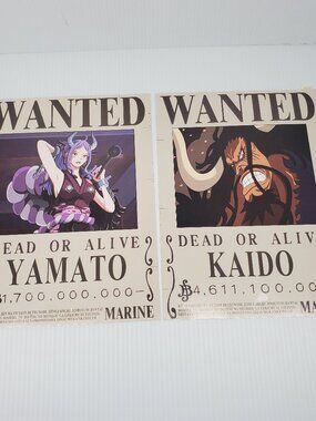 One Piece Dead or Alive,Yamato & Kaido, 8x12 Glossy